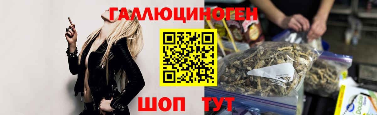Галлюциногенные грибы Psilocybe Черемхово